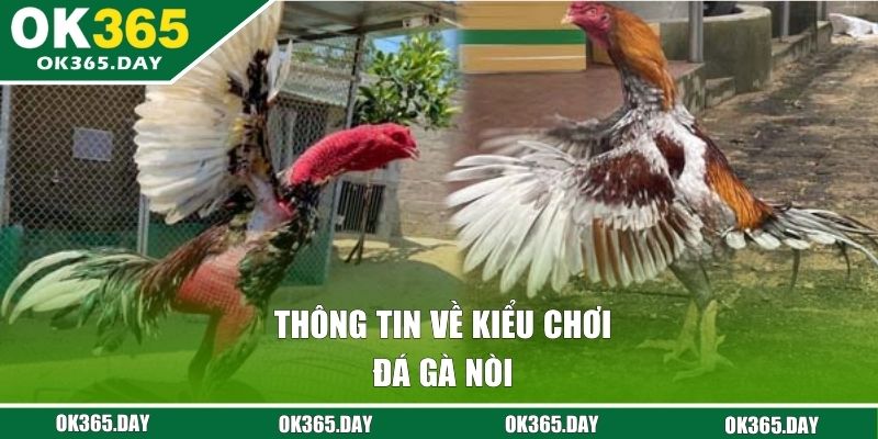 Thông tin về kiểu chơi đá gà nòi 