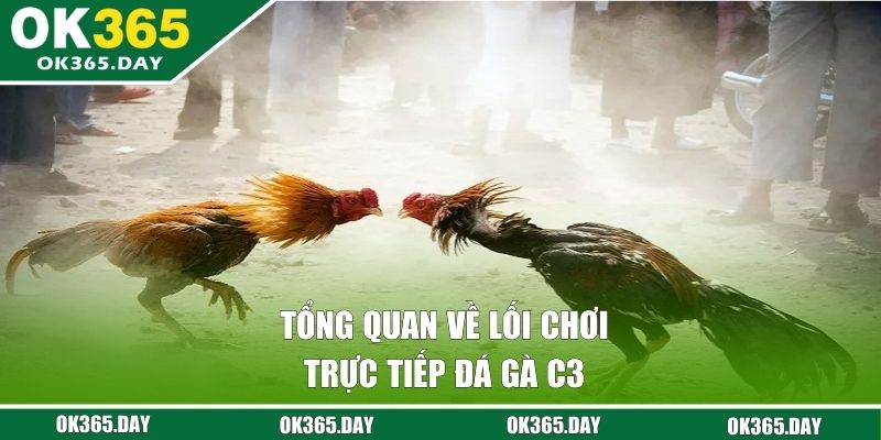 Tổng quan về lối chơi trực tiếp đá gà C3 